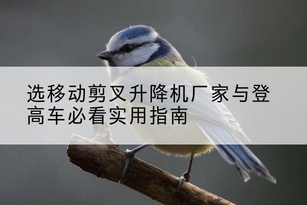 东港电动升降机厂家-选移动剪叉升降机厂家与登高车必看实用指南