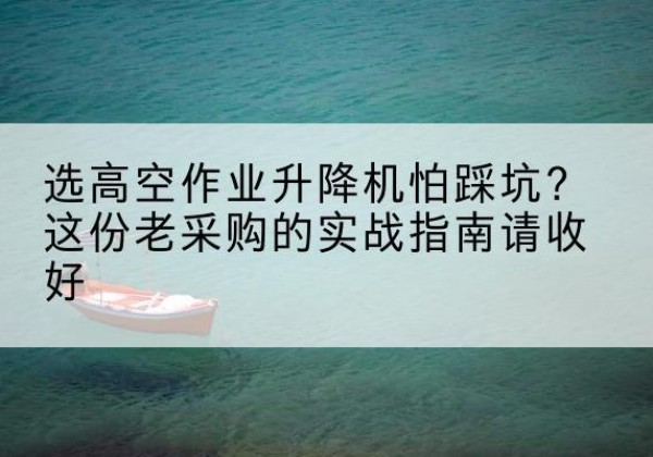 东港高空作业升降机厂家推荐-选高空作业升降机怕踩坑？这份老采购的实战指南请收好