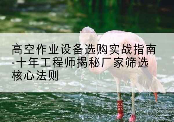 东港剪叉式升降机厂家-高空作业设备选购实战指南-十年工程师揭秘厂家筛选核心法则